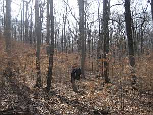 Inspecting the Beech