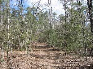 Big Thicket Trail