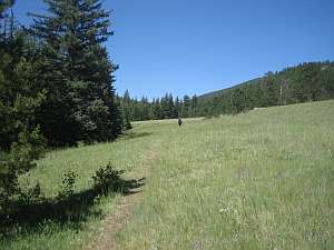 Comanche Fish Ck Meadow.