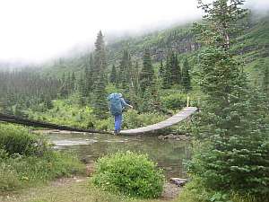 Glacier Gunsight Suspension Bridge