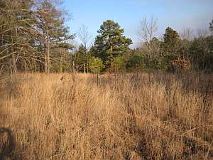 Mt Magazine Prairie mi 2.