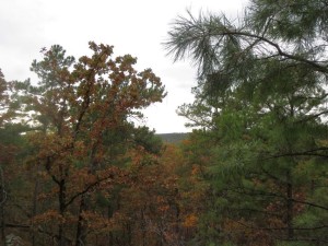 View through the trees to the North rim at McGee Creek Natural Scenic Recreation Area, Oklahoma.