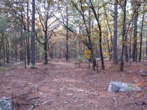 West Branch trail junction.