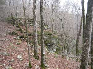 OHT Outcrop Miller Mt