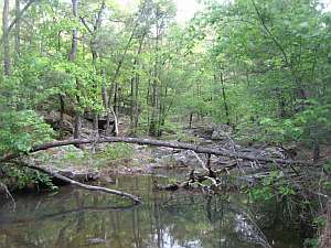 Robbers Cave - Creek.