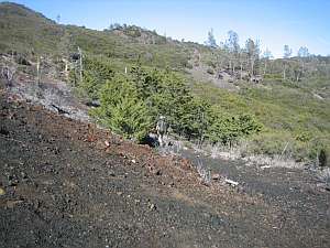 Silver Peak Silver Peak Tr.