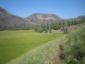South San Juan Meadow in Elk Valley.
