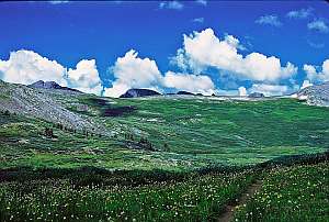 CD from Upper Ute Basin.